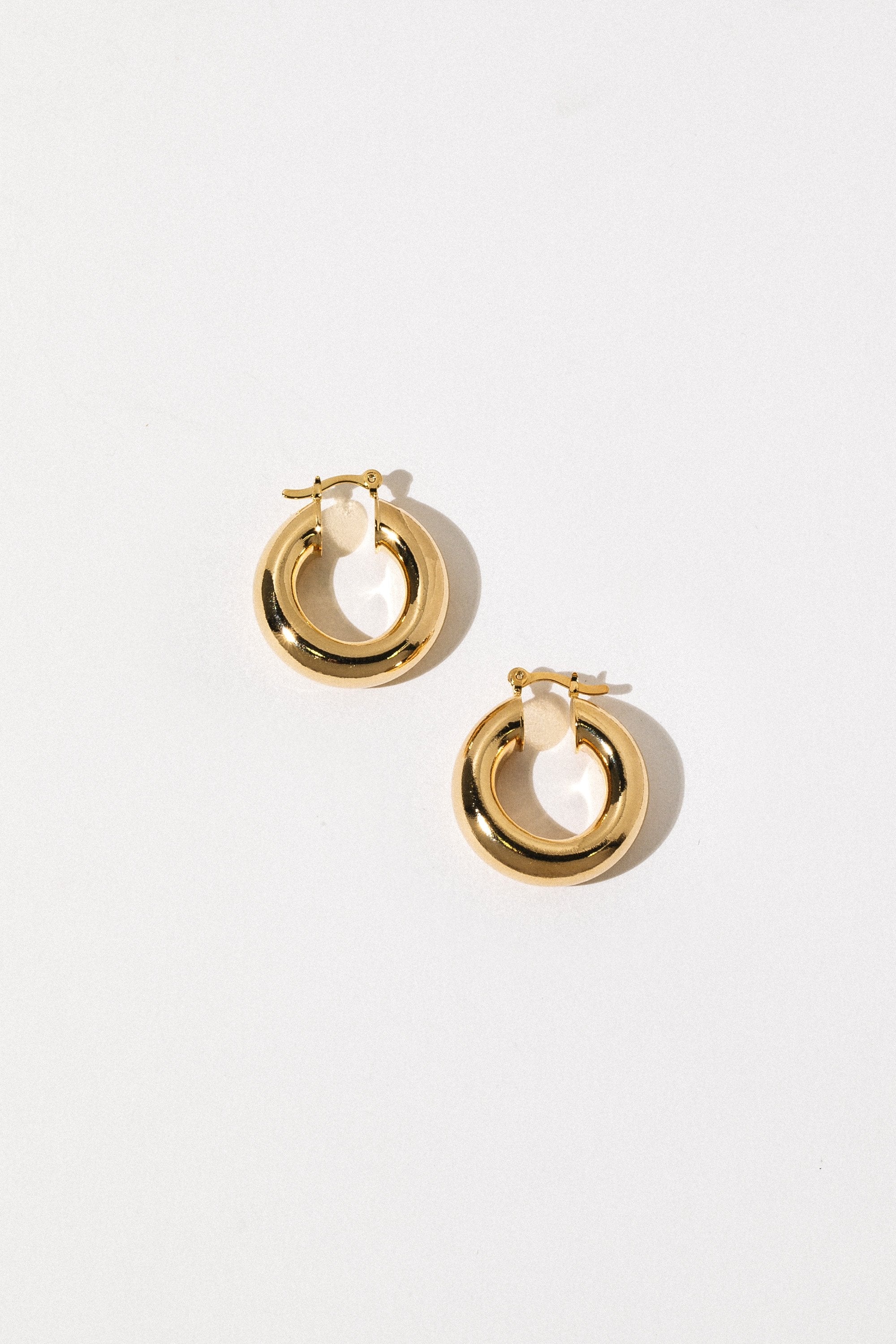 Elegant Golden Hoop Earrings